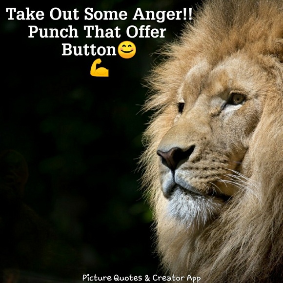 💣Everything💣 - Picture 3 of 6